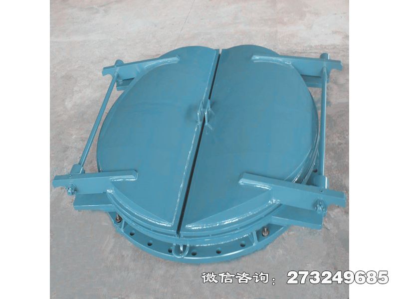 贡觉县铸铁圆型密封拍门