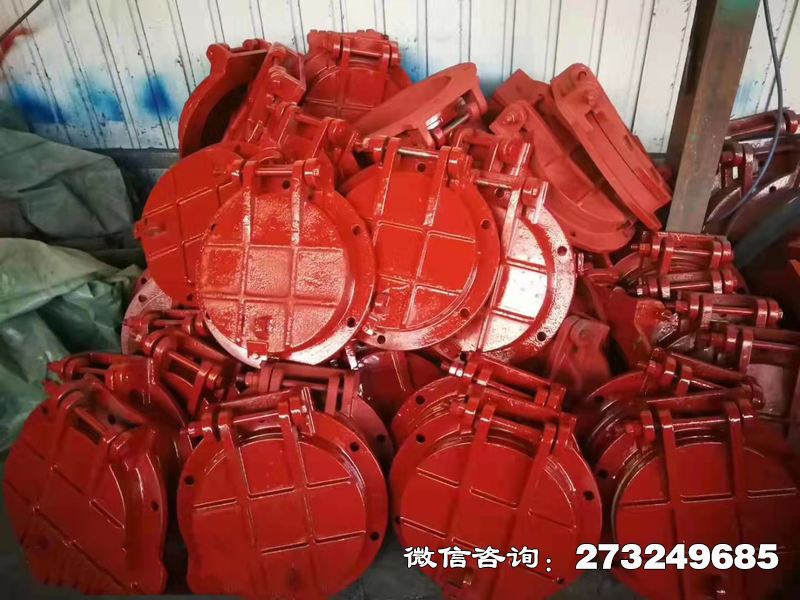 贡觉县铸铁圆形泵站拍门