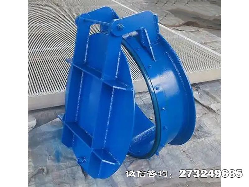 丹寨县铸铁圆形防洪拍门
