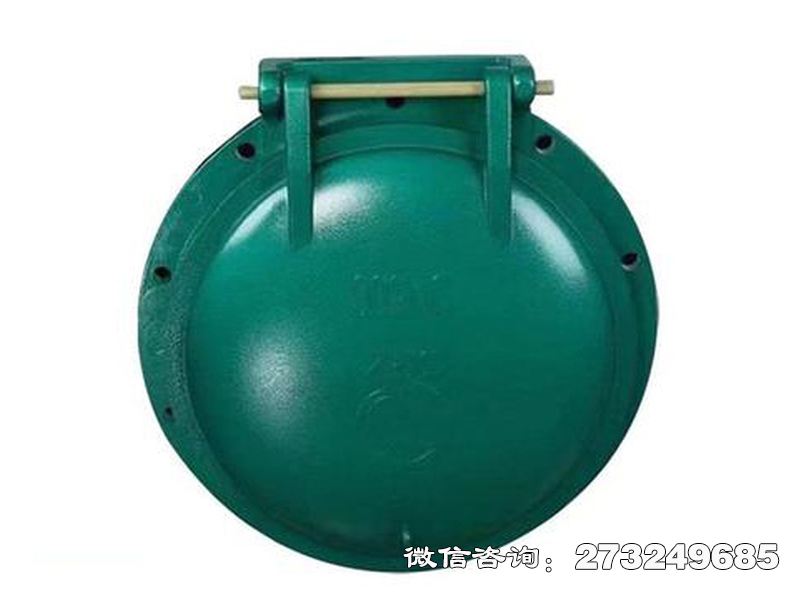 垫江县铸铁圆型潮汐防倒灌拍门