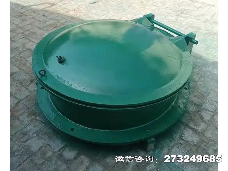 垫江县铸铁圆型一体化泵站拍门