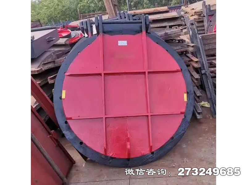 丹寨县铸铁圆型止回拍门